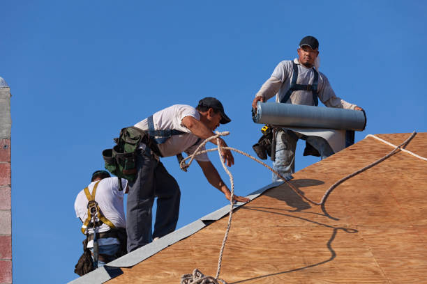 Best Roof Gutter Cleaning  in Perkins, OK